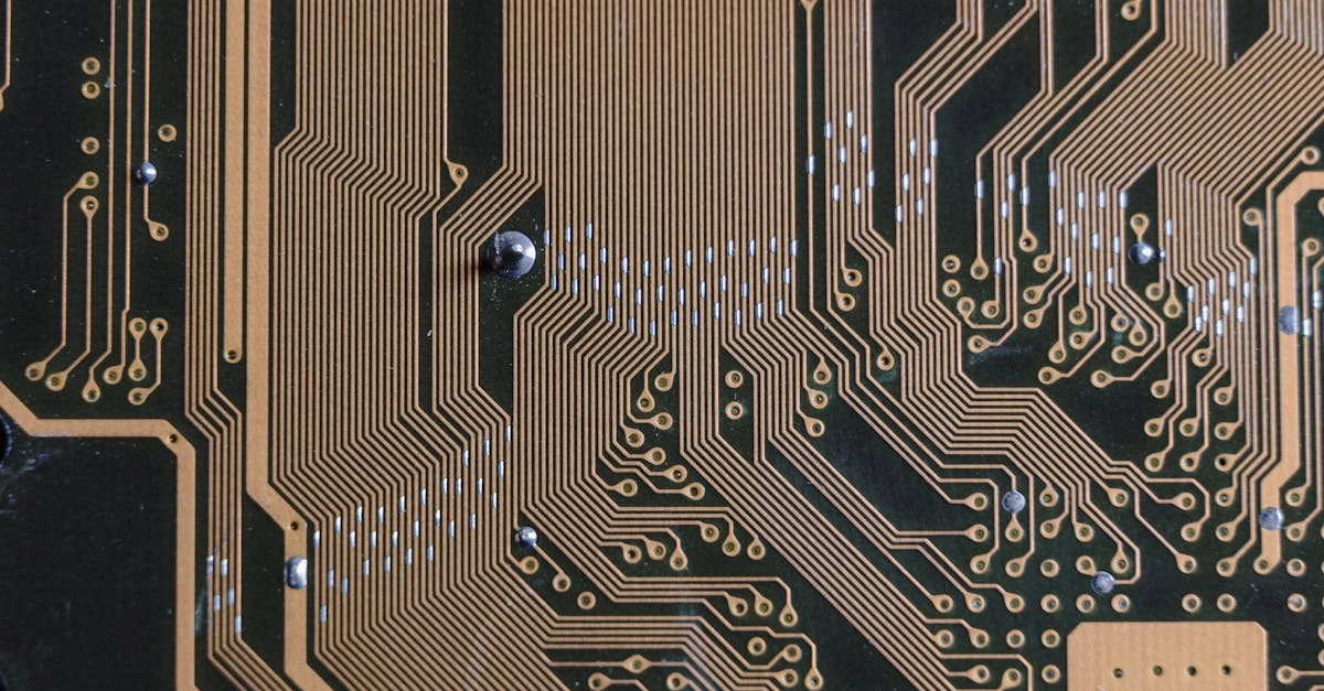 Цифровая эстетика и визуальный дизайн Wolf Gold слота